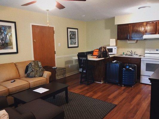 View from the entrance: living room and kitchen. Door pictured is locked and shared with neighboring unit.