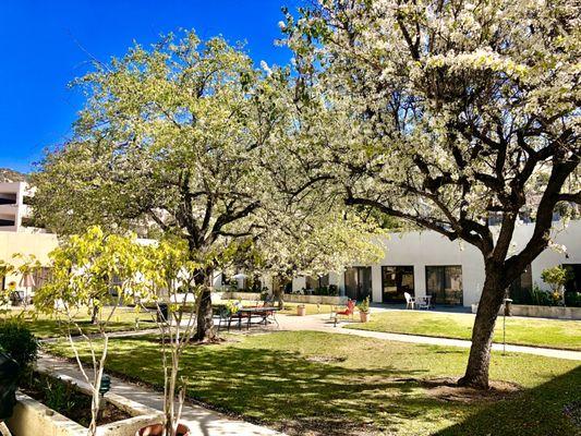 Boulder Creek Courtyard