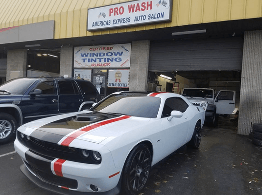 Pro Tint DMV