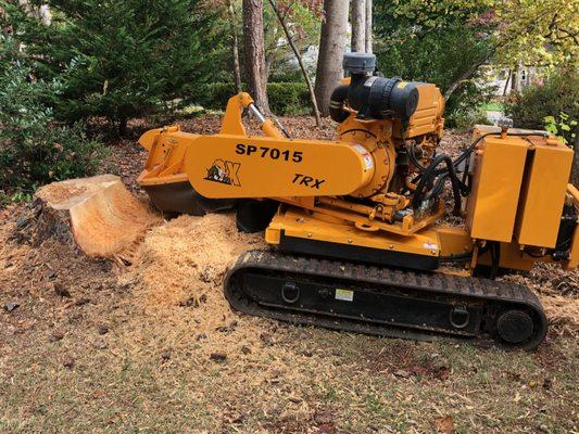 State-of-the-art Carlton OX stump grinding equipment