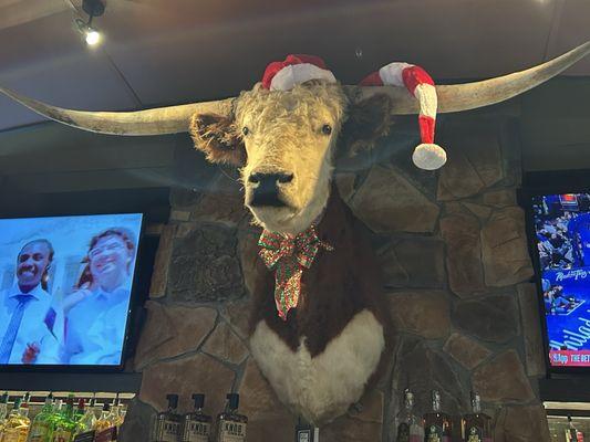 Longhorn Santa