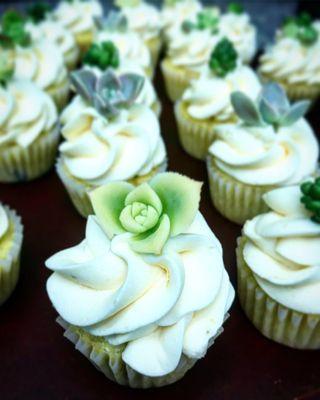 Blueberry Filled Lemon Mini Cupcakes