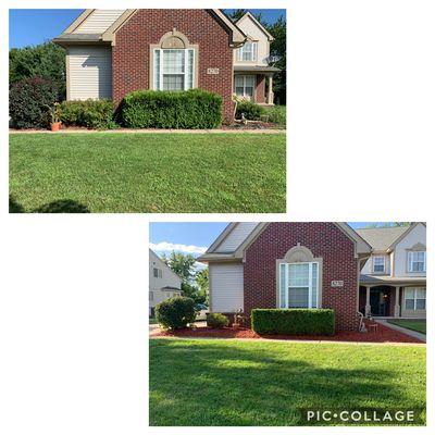 In this picture the customer had some bush trimming done and also a few bushes removed and mulch put down.