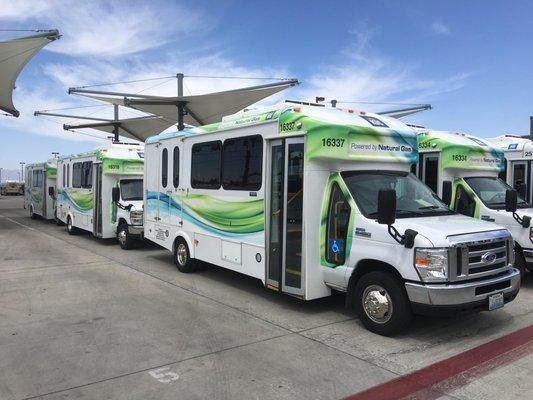 RTC Bus Fleet Wrap