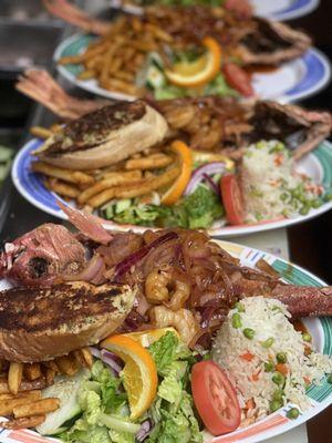 Huachinango al Estilo Nayarit con camarones, Red Snapper with Nayarit sauce and Shrimp