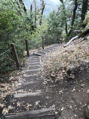 Stairs directing you to parking lot, actually 15 more min hike to actually get to parking lot