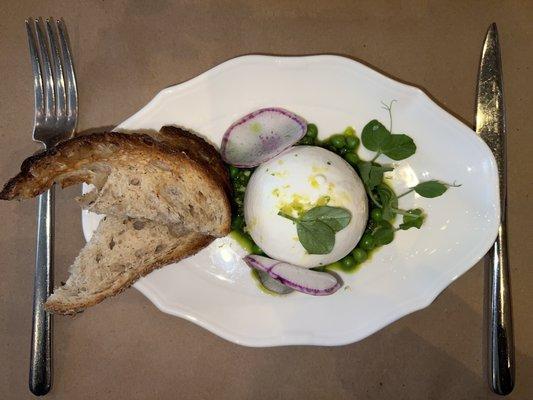 Burrata with english peas & arugula pesto, purple radish and lemon