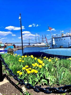 Independence Seaport Museum