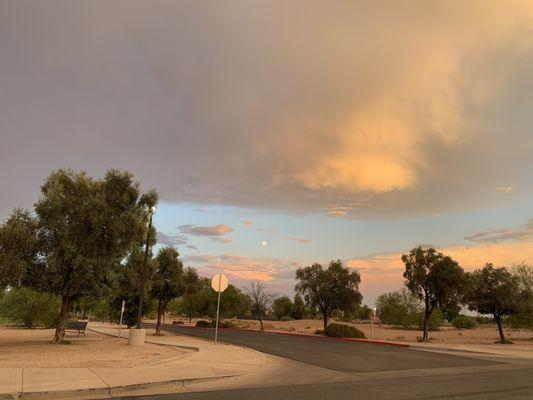 SE of Guadalupe Road and Lindsay Road July 30, 2023