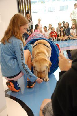 Frolic Birthday Party - Agility Course Activity