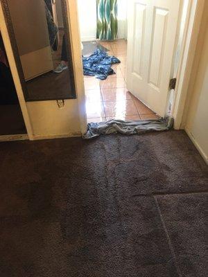 Flooded bathroom overflowed onto room carpet