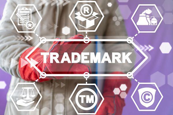 TILG provides a variety of trademark protection and enforcement services.