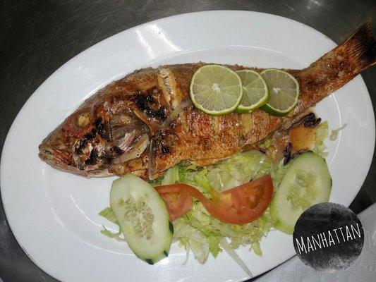 Grilled red snapper