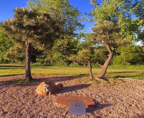 Cherry Tree Planting Marker