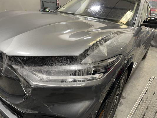 Mach E paint protection film