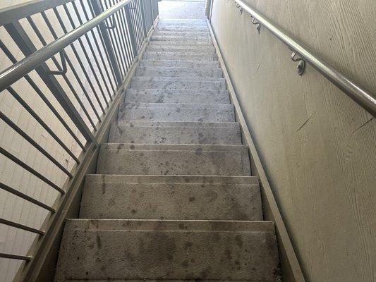 Dirty staircase - never been cleaned.