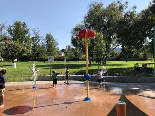 Water area for the kids to play in.