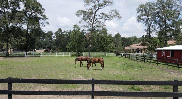 Woodlands Riding And Equestrian Center