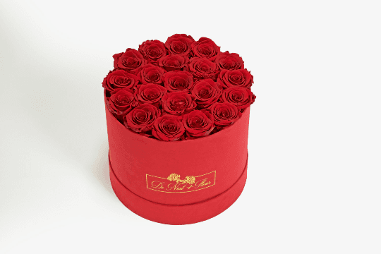 Signature Suede Box with Red Roses