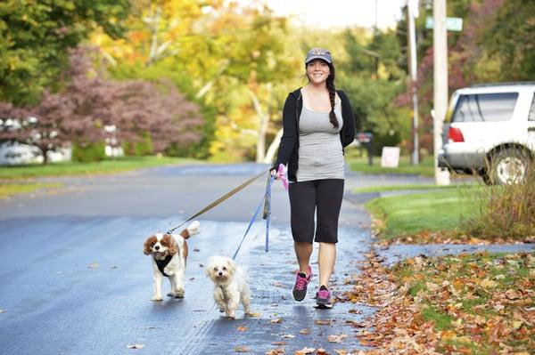 Cambridge Critter Sitter & Dog Walker