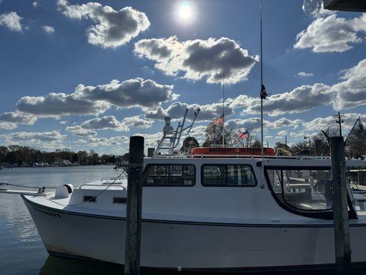 Marina - boats from the patio