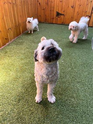 Outside play area (and another great picture of our boy!)