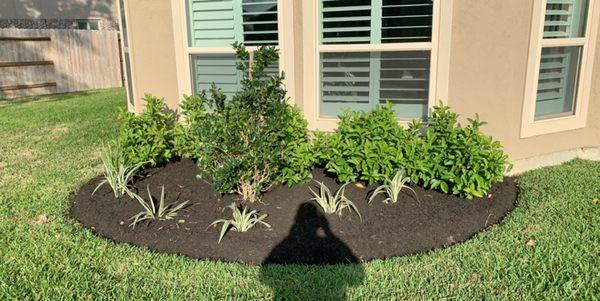 Mulch install with a full flower bed clean up, and trimming service.