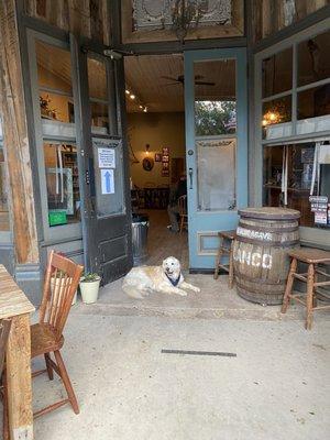 - was closing time so the owner didn't mind her setting up "please Pet Me" shop at the entrance after the restaurant guests departed.