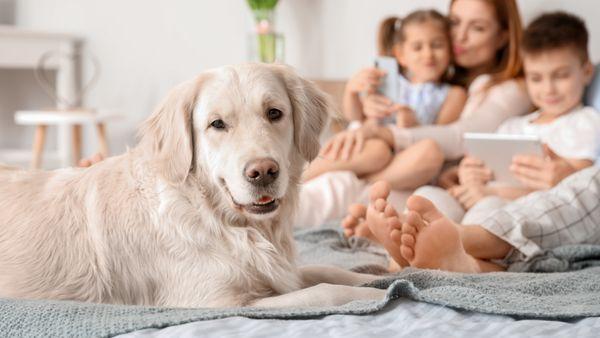 family and dog in a pest free home