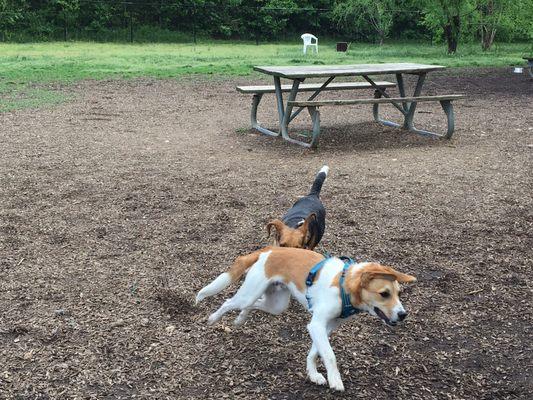 It has a few picnic tables that humans can hang out.