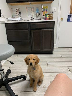 Waiting patiently for our vet!