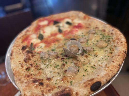 Clam & Margherita pizza