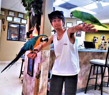 Customer "Luke"  Attracts                  Parrots