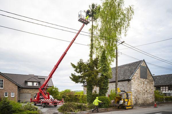 Safeco Tree Service