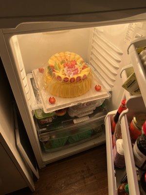 The 12 inch cake barely fitting in the fridge during a night out in the city