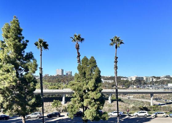 View from third-floor patient room of David S Eshom, DDS, Dec 2023