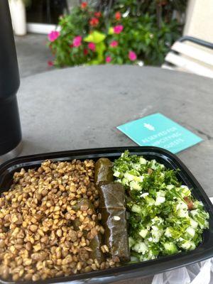 Mujadara, Grape Leaf Dolma, & Tabouli Bulgur