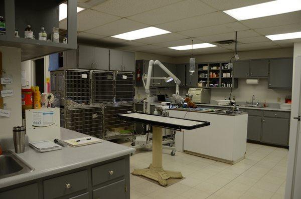 Main treatment and hospital area with the dental xray machine set up.