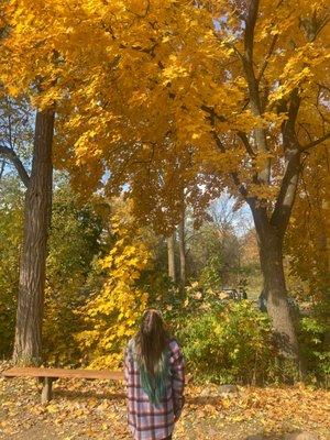 Tom Walker's Grist Mill - Historic Parshallville Cider Mill