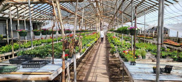 Pedricks Greenhouses