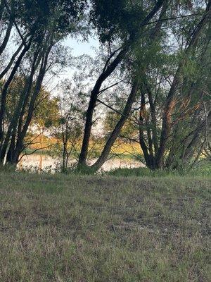 Neighboring private pond