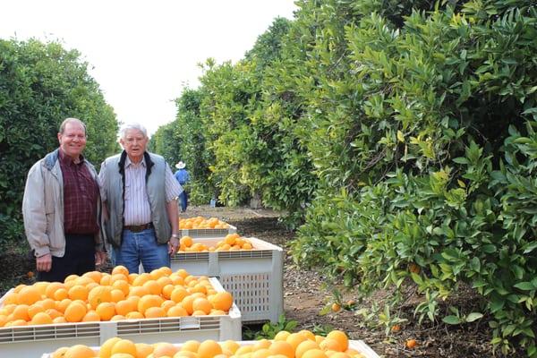 Farmer Bob posing in the groves with a friend.