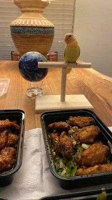 my lovebird Mango eyeing the hot wings suspiciously Lol