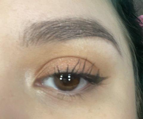 Uneven lift, brittle lashes, hair going every direction, tips of lashes are bent.