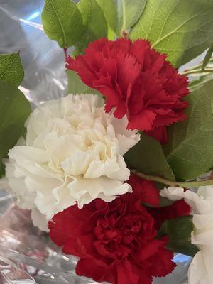 Carnations