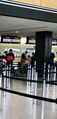 Check-in Counters