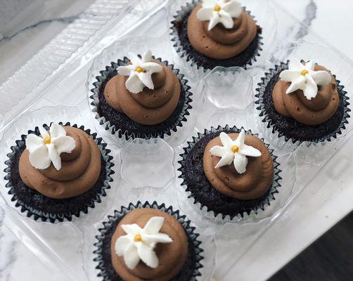 Double Chocolate Cupcakes