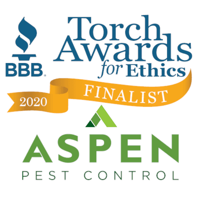 2020 Torch Award for Ethics Finalist for all of Western Washington