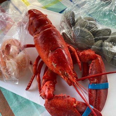 Steamed lobster, cooked shrimp and a dozen clams