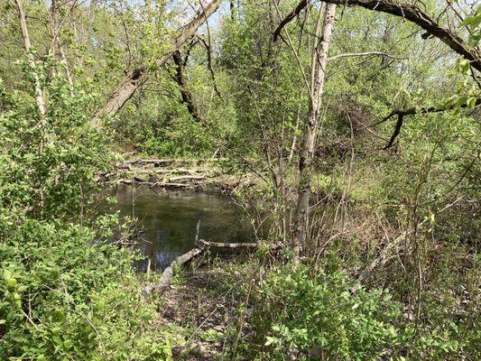 Portage Creek Bicentennial Park